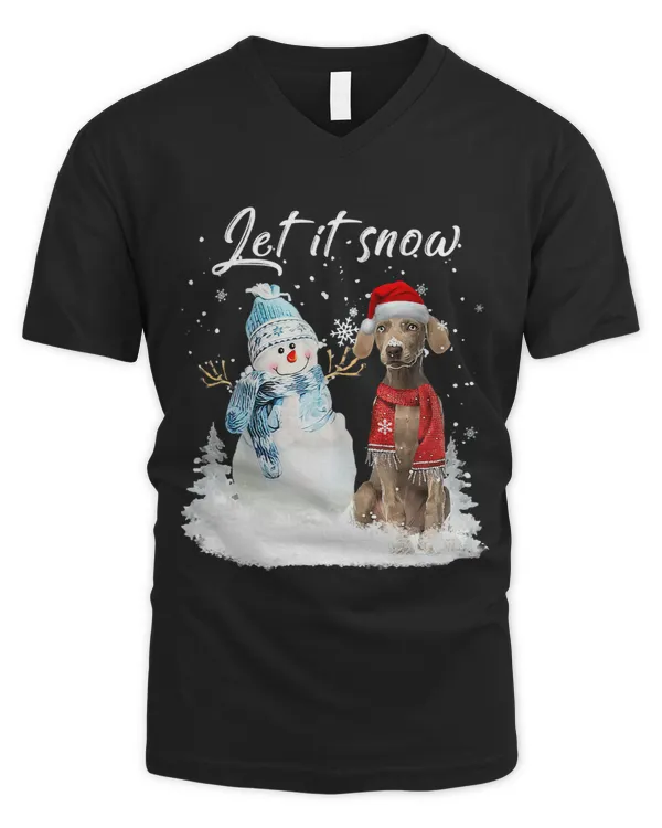 Men's V-Neck T-Shirt