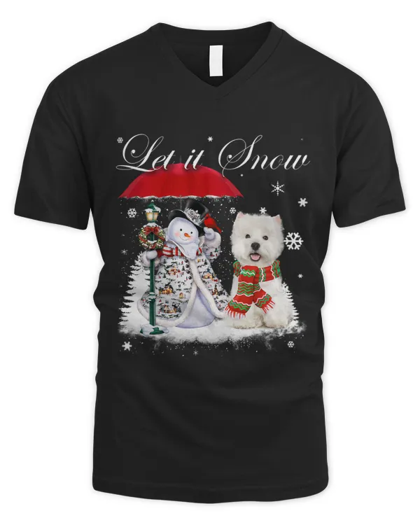 Men's V-Neck T-Shirt