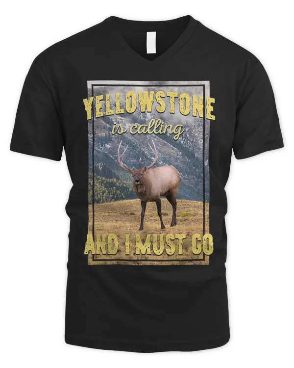 Men's V-Neck T-Shirt