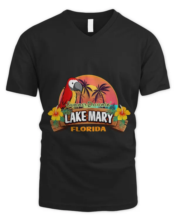 Men's V-Neck T-Shirt