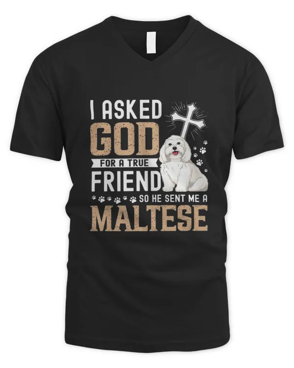 Men's V-Neck T-Shirt