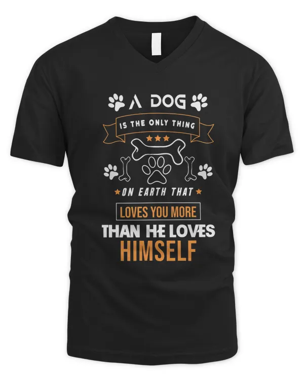 Men's V-Neck T-Shirt