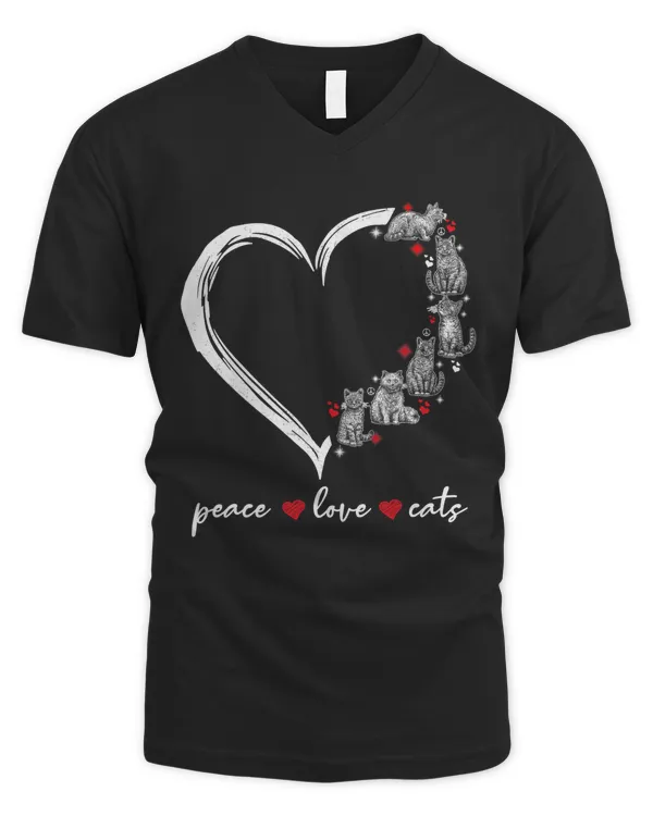 Men's V-Neck T-Shirt