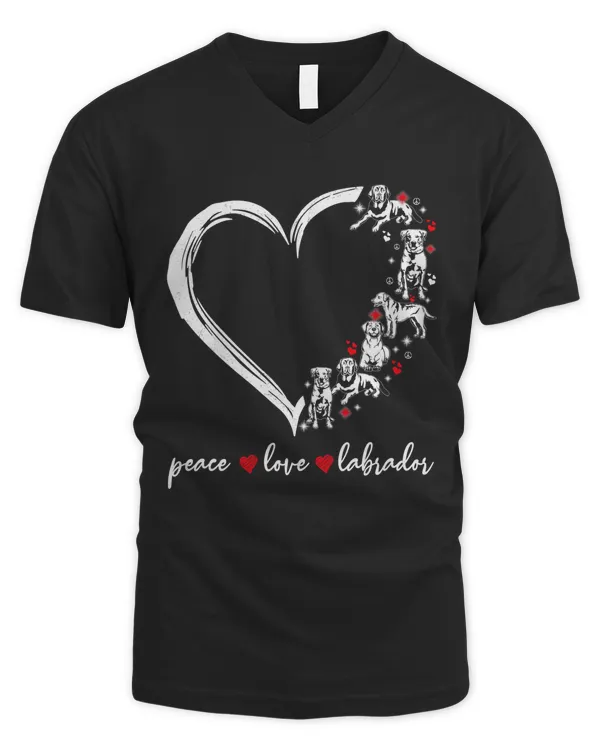 Men's V-Neck T-Shirt