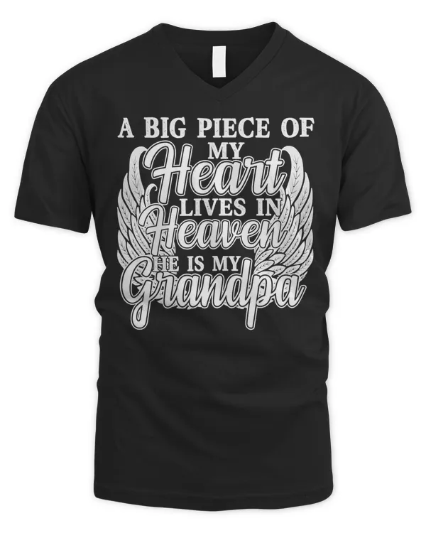 Men's V-Neck T-Shirt