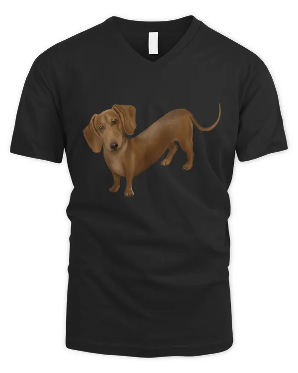 Men's V-Neck T-Shirt