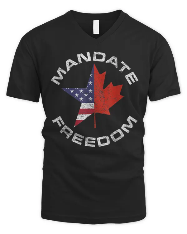 Men's V-Neck T-Shirt