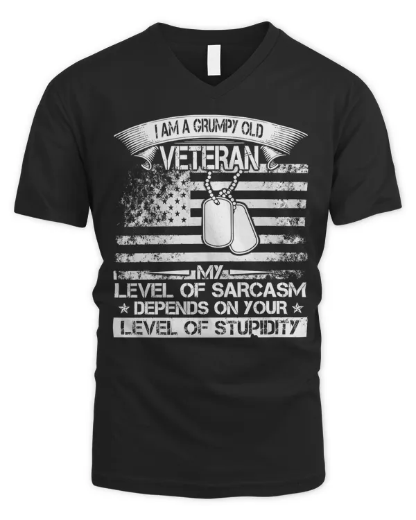 Men's V-Neck T-Shirt
