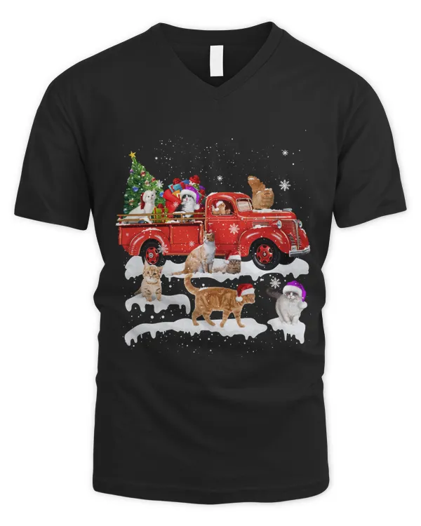 Men's V-Neck T-Shirt