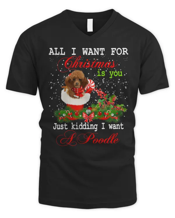 Men's V-Neck T-Shirt