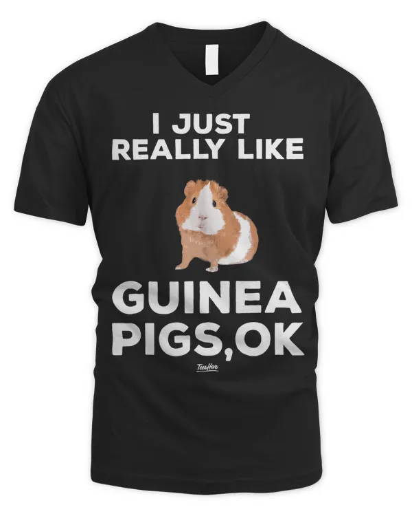 Men's V-Neck T-Shirt