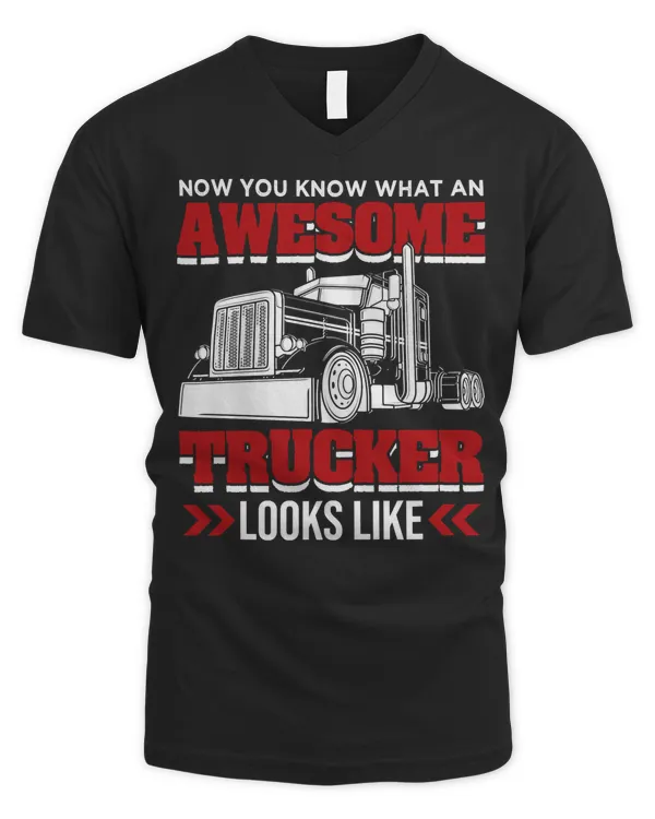 Men's V-Neck T-Shirt