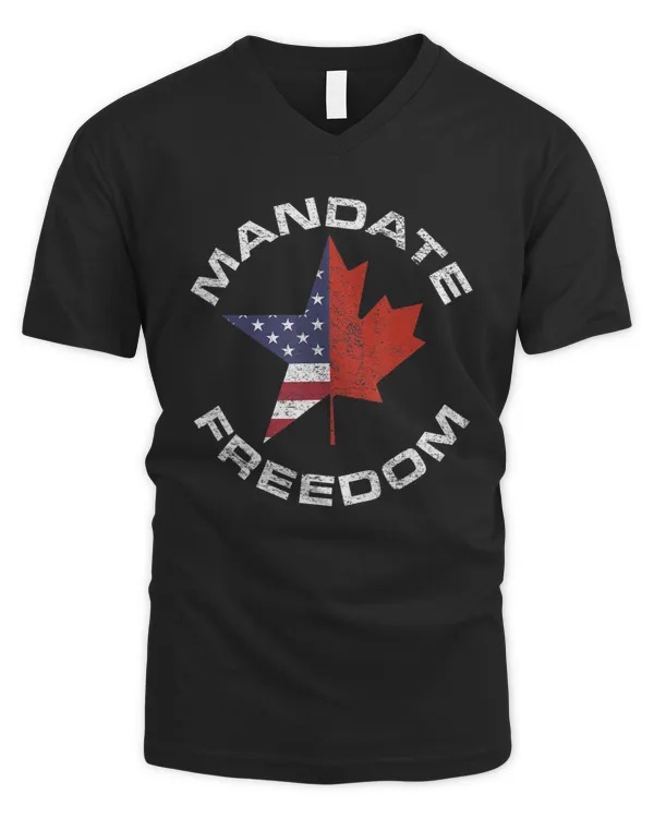 Men's V-Neck T-Shirt