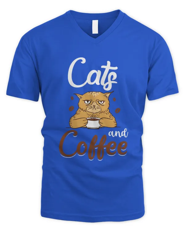 Men's V-Neck T-Shirt
