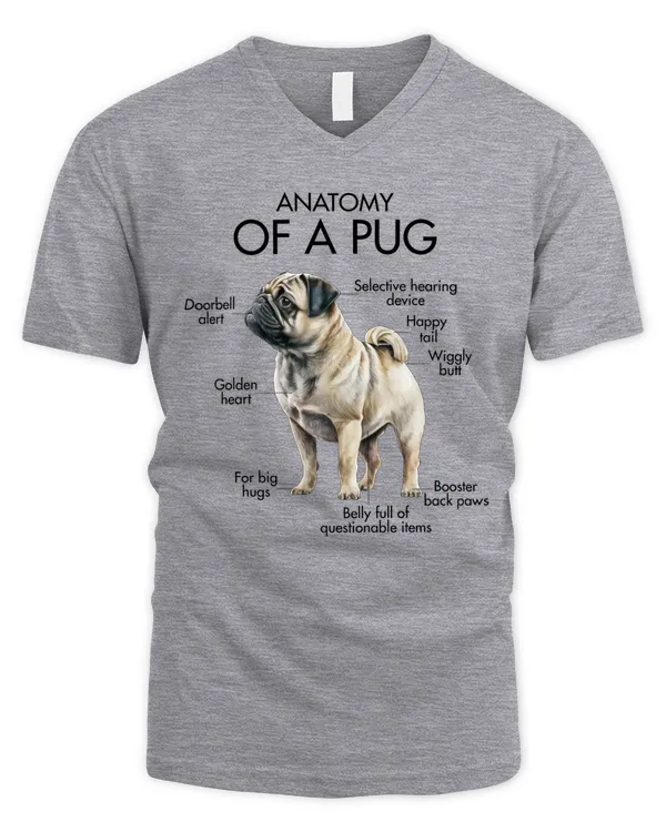 Men's V-Neck T-Shirt