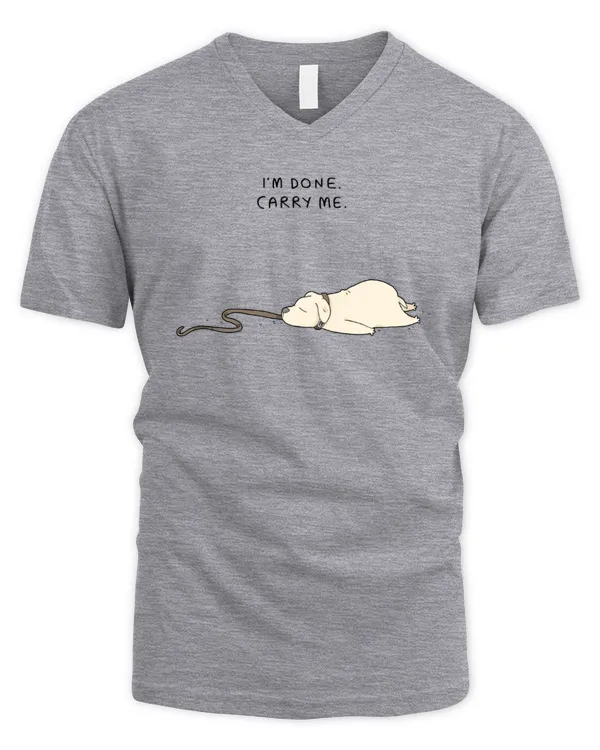 Men's V-Neck T-Shirt