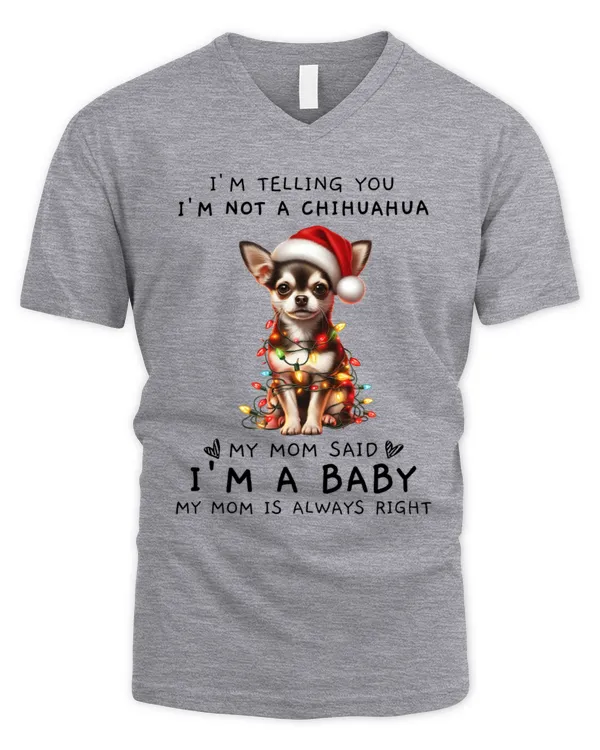 Men's V-Neck T-Shirt
