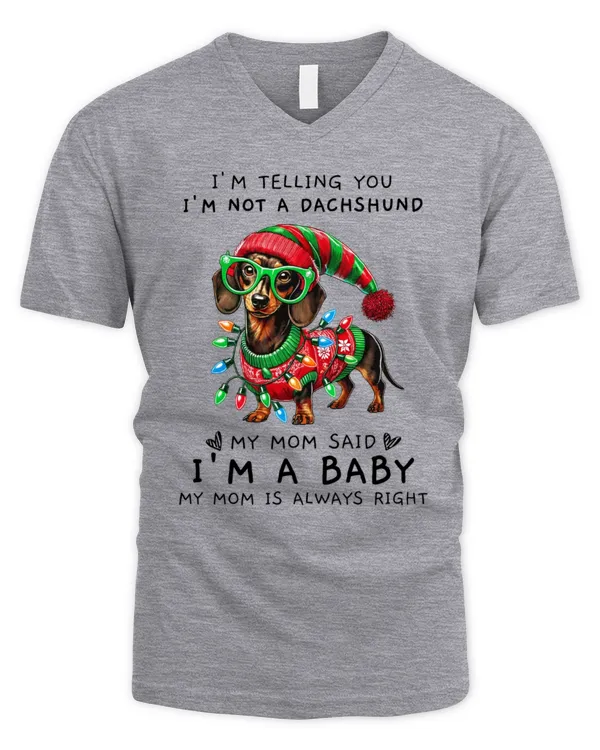 Men's V-Neck T-Shirt