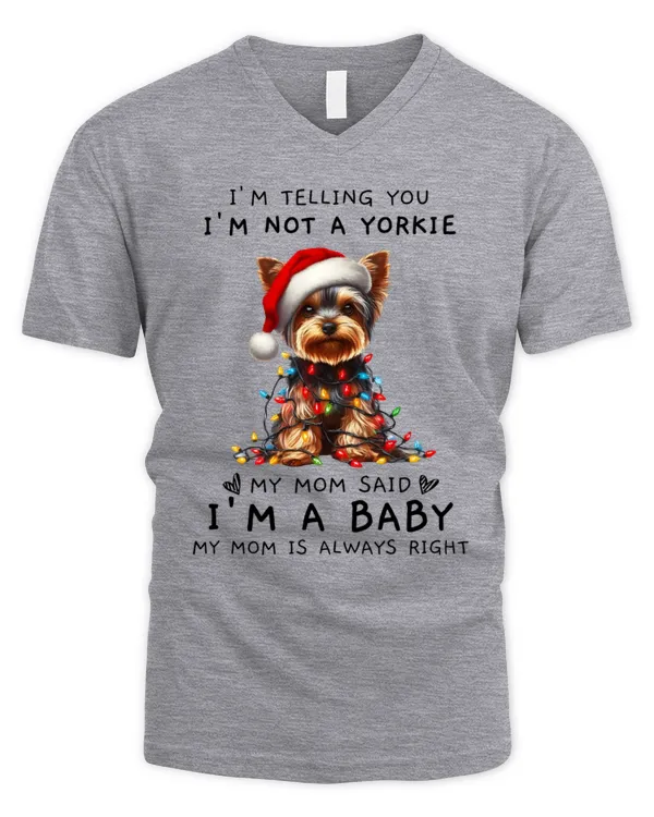 Men's V-Neck T-Shirt