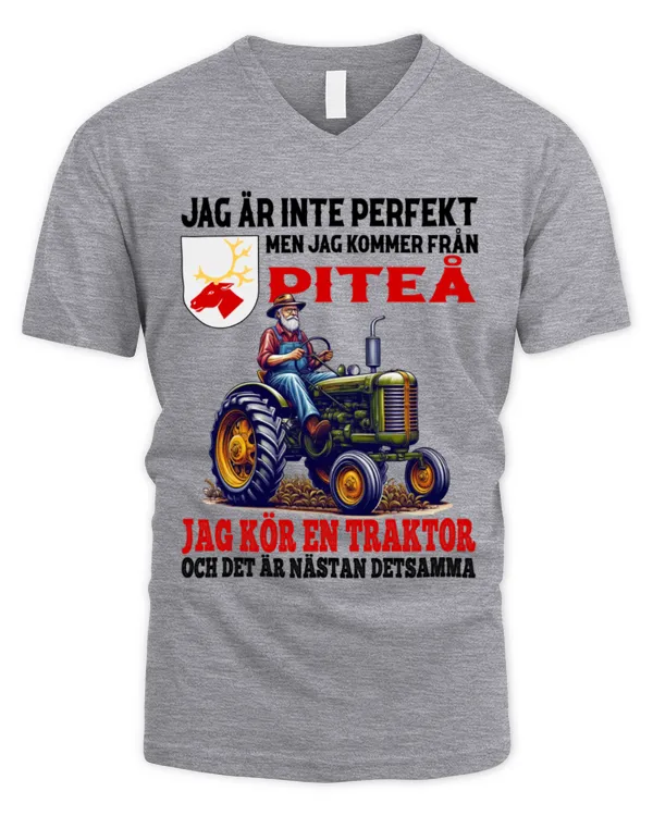 Men's V-Neck T-Shirt
