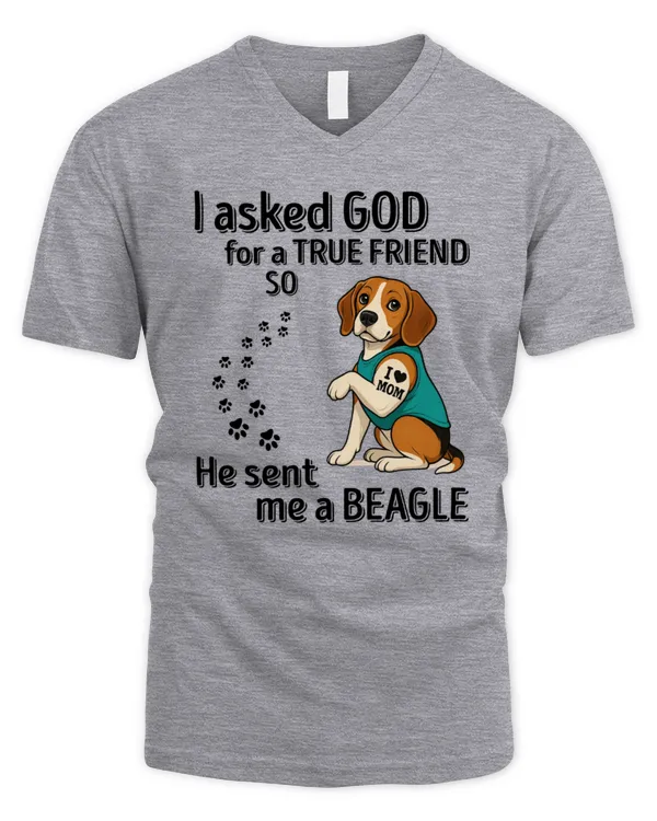 Men's V-Neck T-Shirt