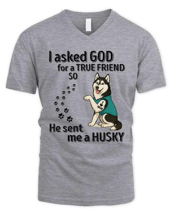 Men's V-Neck T-Shirt