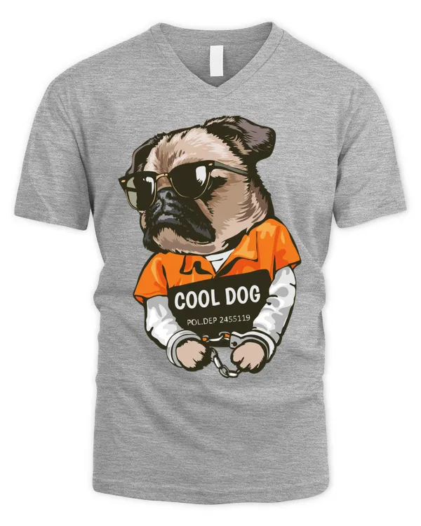 Men's V-Neck T-Shirt