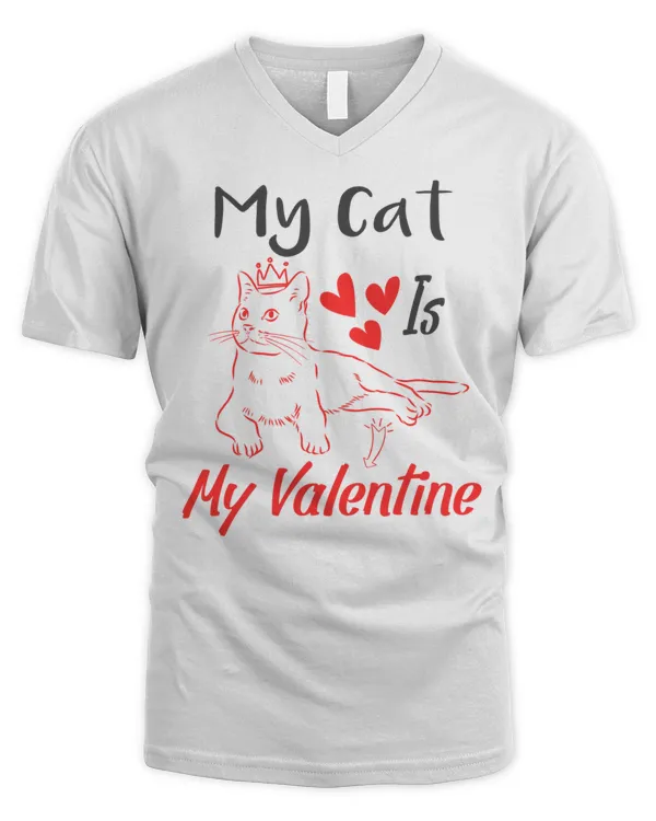 Men's V-Neck T-Shirt
