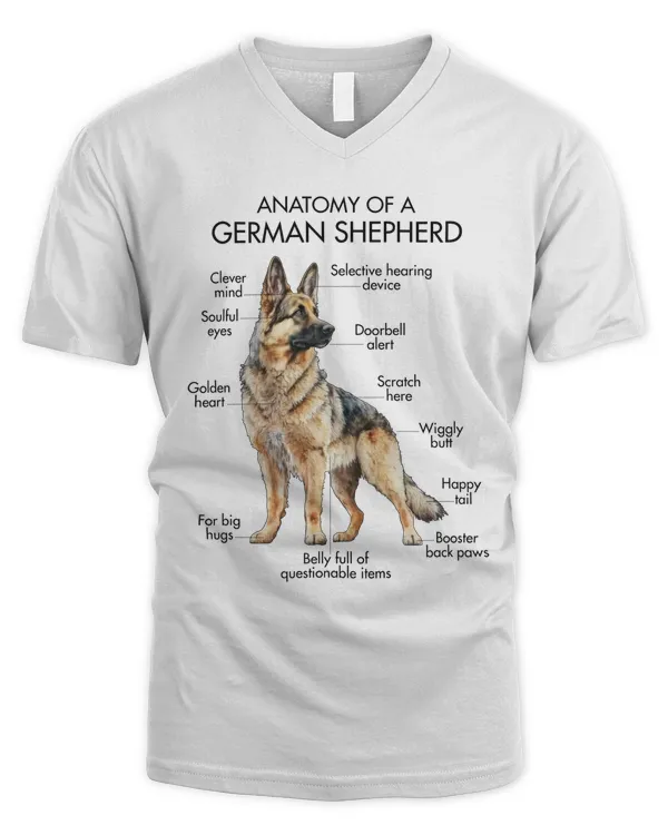 Men's V-Neck T-Shirt