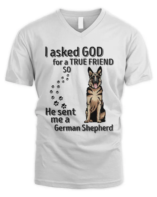 Men's V-Neck T-Shirt