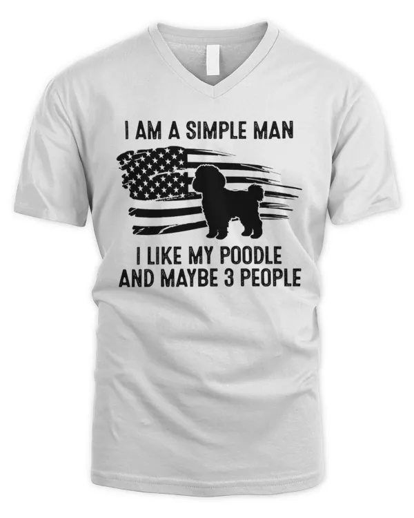 Men's V-Neck T-Shirt
