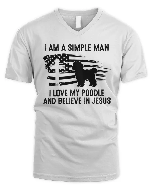 Men's V-Neck T-Shirt