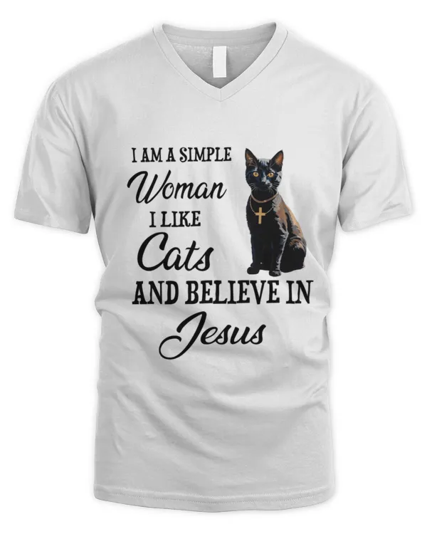 Men's V-Neck T-Shirt