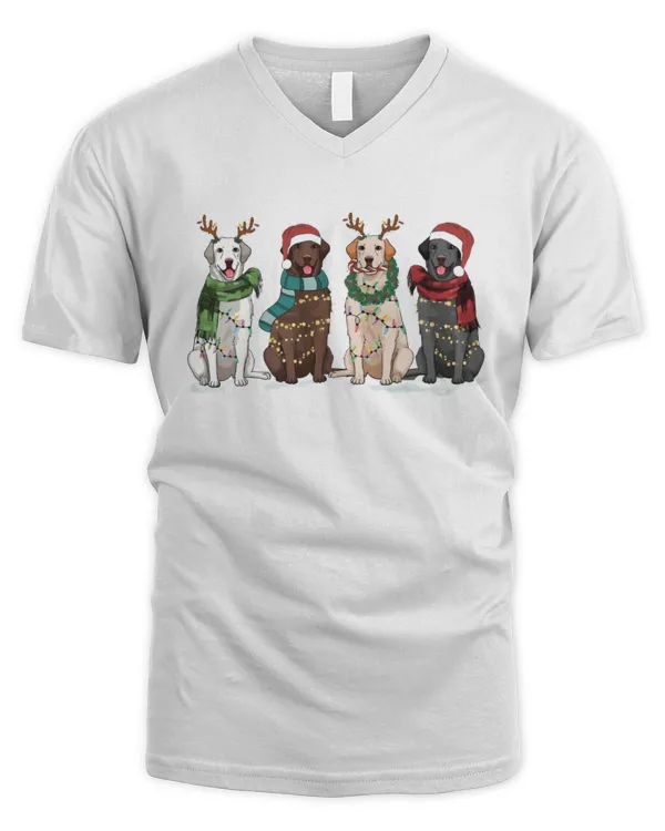 Men's V-Neck T-Shirt