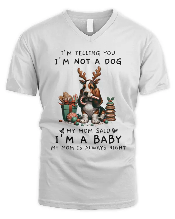 Men's V-Neck T-Shirt