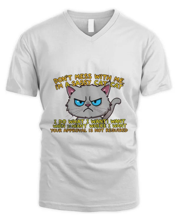 Men's V-Neck T-Shirt