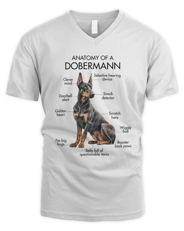 Men's V-Neck T-Shirt