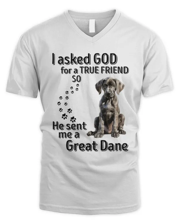 Men's V-Neck T-Shirt