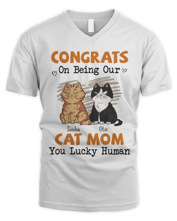 Men's V-Neck T-Shirt