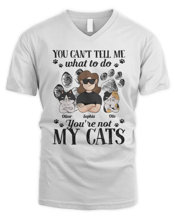 Men's V-Neck T-Shirt