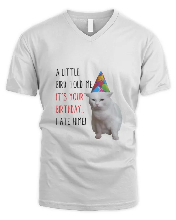 Men's V-Neck T-Shirt