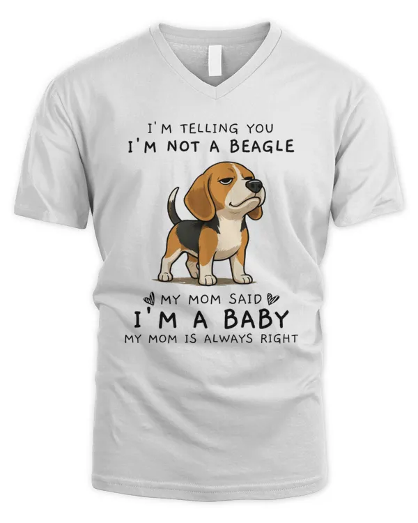 Men's V-Neck T-Shirt
