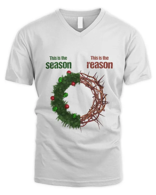 Men's V-Neck T-Shirt