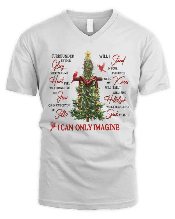 Men's V-Neck T-Shirt