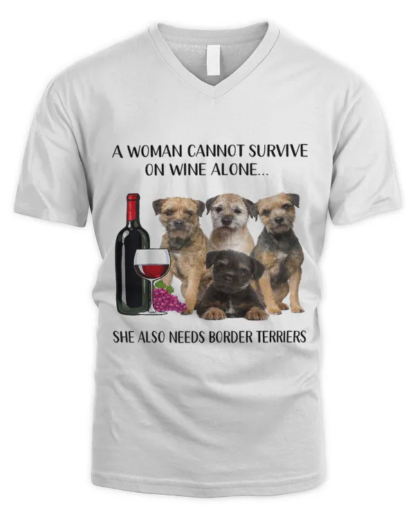 Men's V-Neck T-Shirt