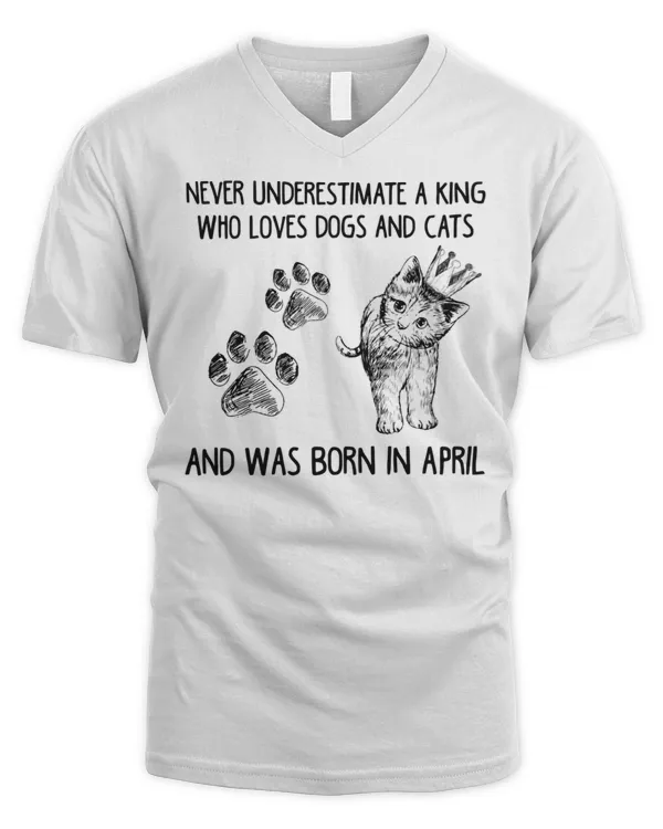 Men's V-Neck T-Shirt