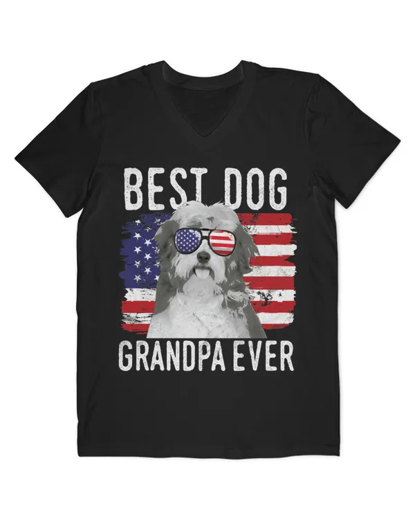 Men's V-Neck T-Shirt