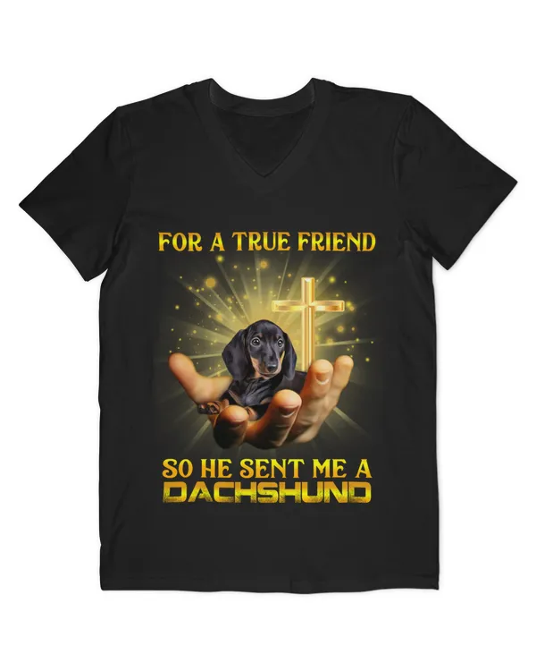 Men's V-Neck T-Shirt