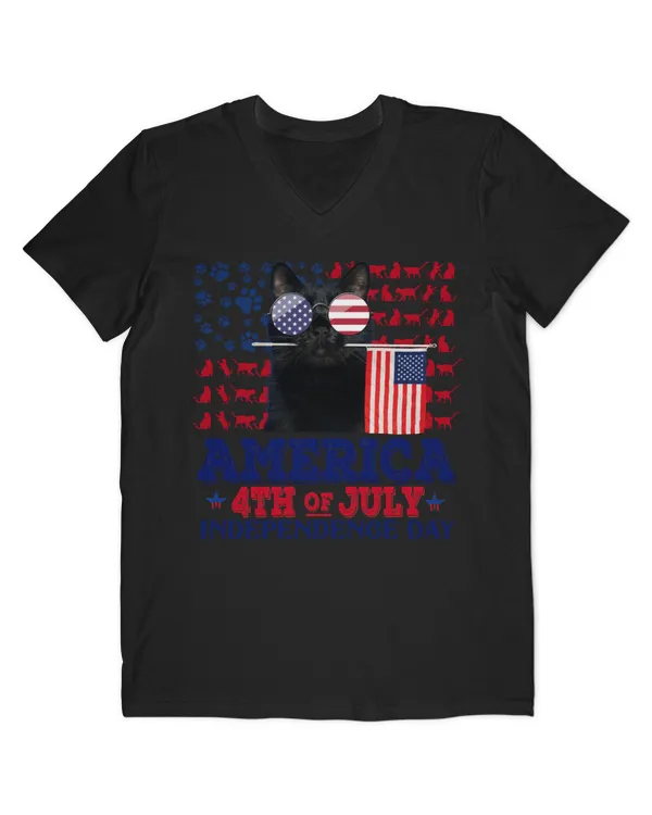Men's V-Neck T-Shirt