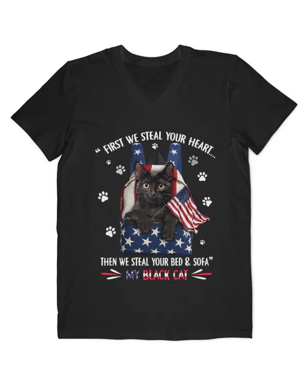 Men's V-Neck T-Shirt